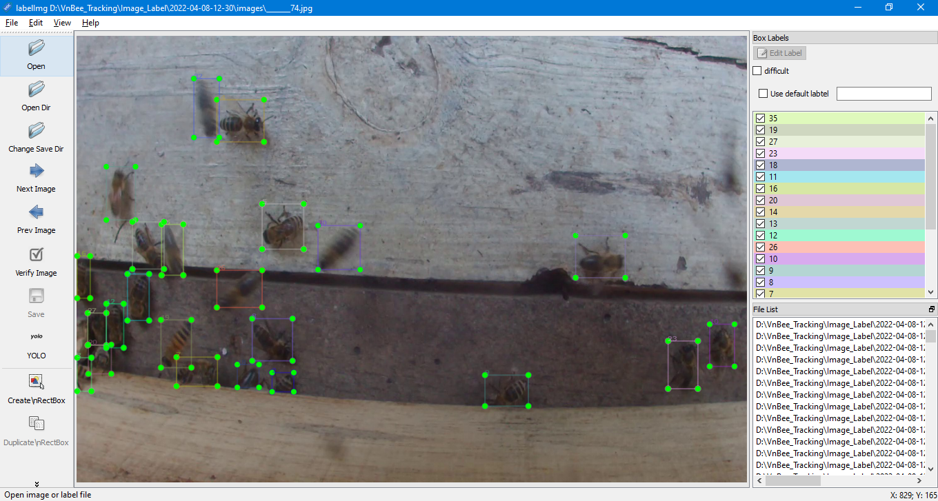 The Pollenbee Dataset